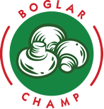 Boglar Champ