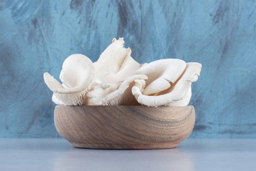 bowl-delicious-organic-oyster-mushrooms-colorful-background