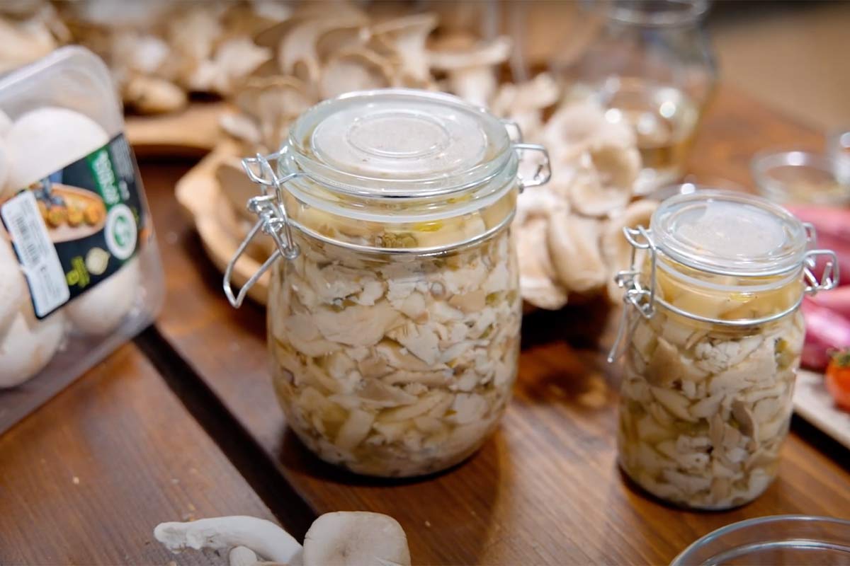 Pickled oyster mushrooms with ginger Boglar Champ
